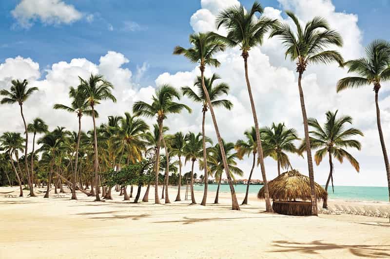 Paquete a Punta Cana